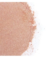 Kit Polvos 100 Comestibles y Plumero Fresas con Cava